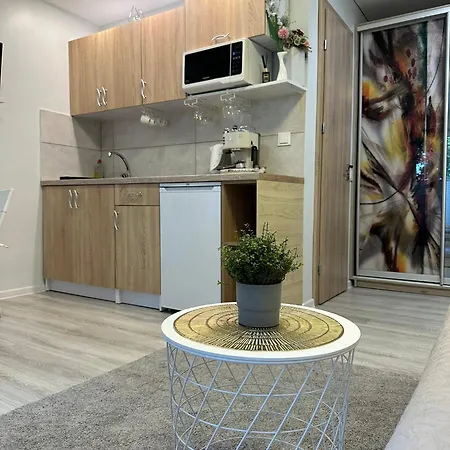 Studijos Tipo Apartamentai