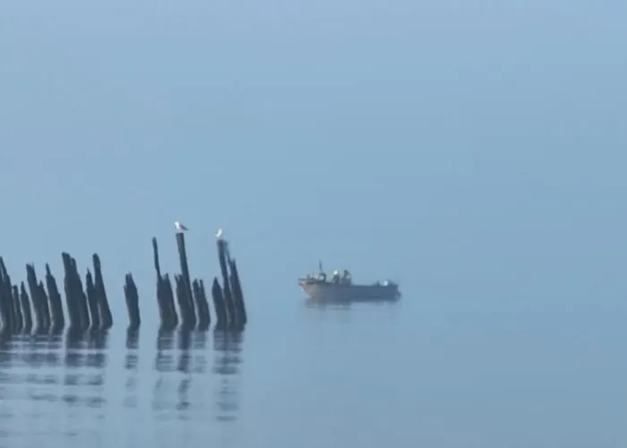 Apartment Studijos Tipo Apartamentai Palanga