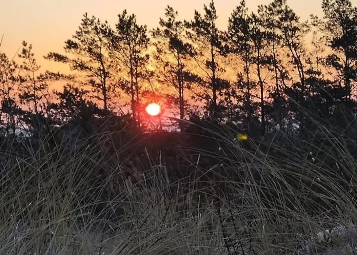 Studijos Tipo Apartamentai *